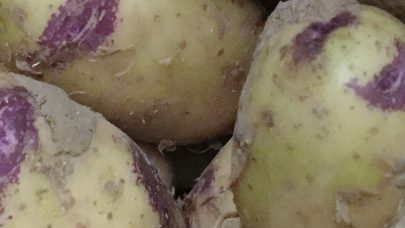 Gronne poteter IMG 2662 3